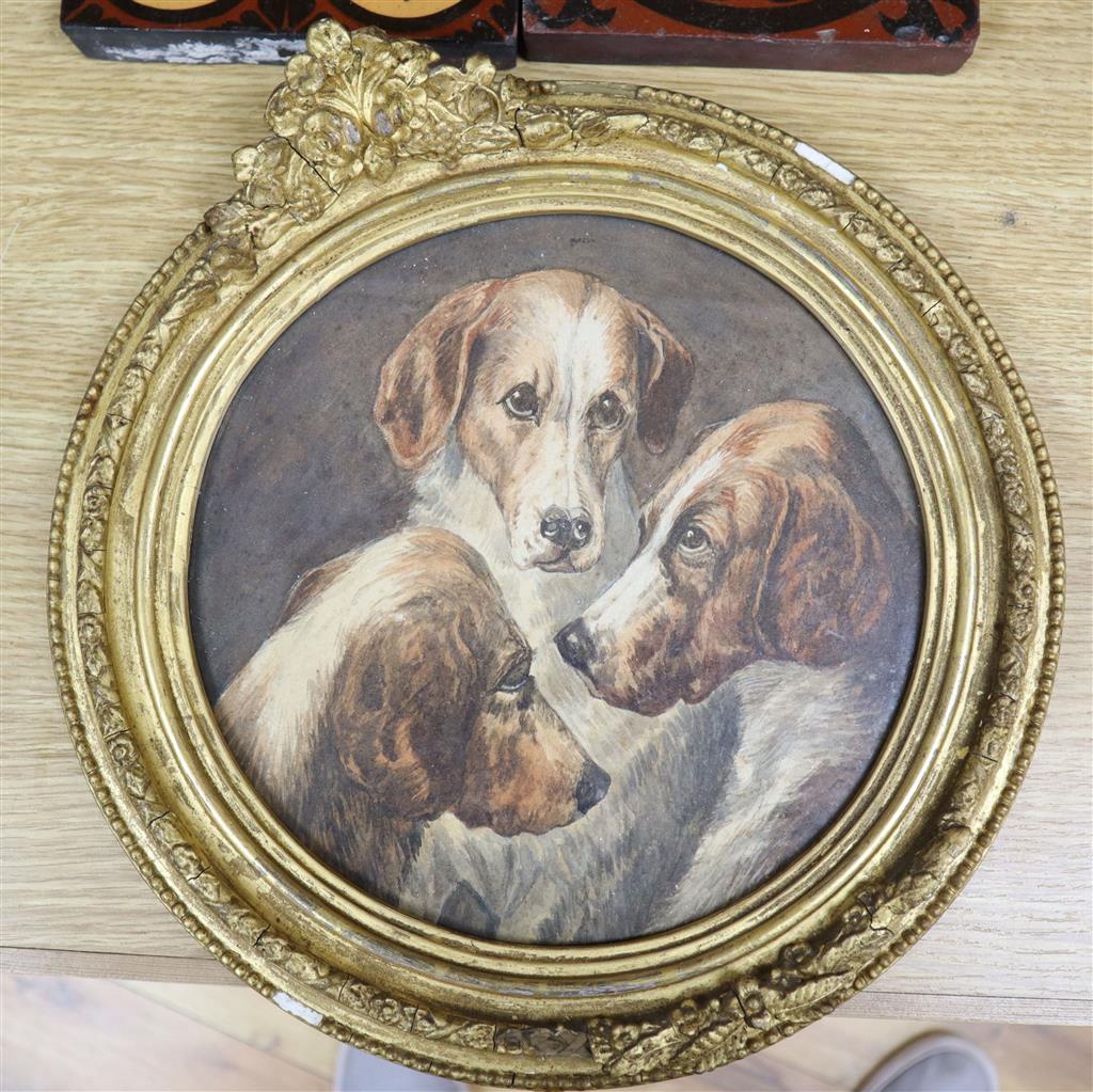 English School, watercolour, Study of three hounds, tondo, 23cm